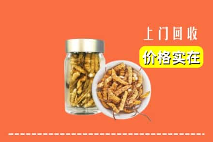收购资讯:通辽科尔沁左翼后旗回收散虫草