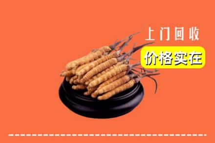 通辽科尔沁左翼后旗回收冬虫夏草